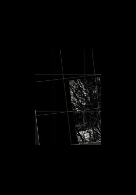 obscurity - postgutenberg@gmail.com