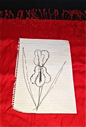 iris, red bckgrnd, 1ACB louise dumitriu, drew collins