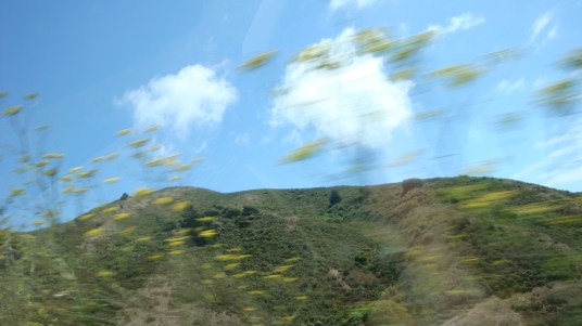 ‘Happy Birthday, MIL22!’Photograph by postgutenberg@gmail.com