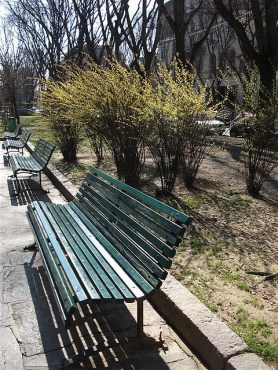 'Ritorna il sole, ritornano i colori' photograph by MIL22