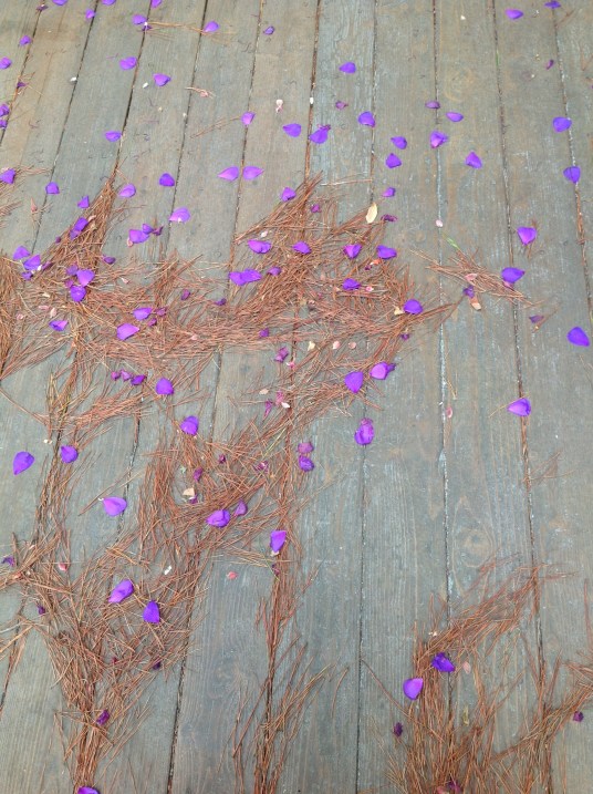 petals needles PLANKS
