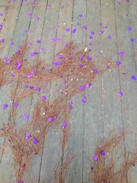petals needles PLANKS