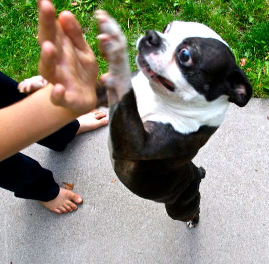 'Spanky' and N -- LCM 2