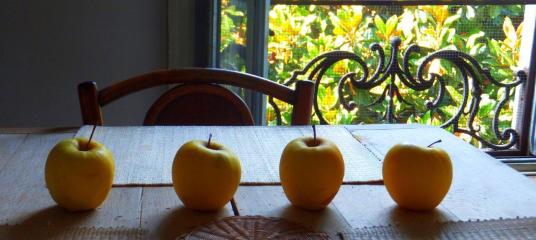 - photograph by MIL22