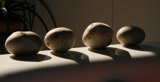 It should be general knowledge that newspapers spy on readers: Guardians that live in King’s Cross glass houses should not throw … - photograph by MIL22