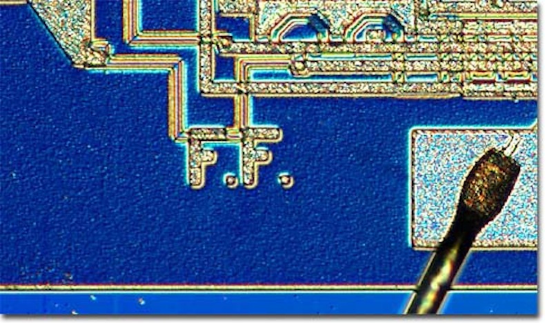 BLUE BACKDROP faggin