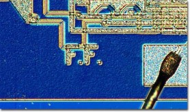 BLUE BACKDROP faggin