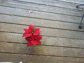 android dec 2011 to nov 2012 159