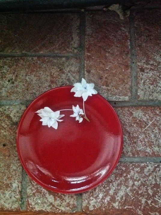 red plate starburst 1