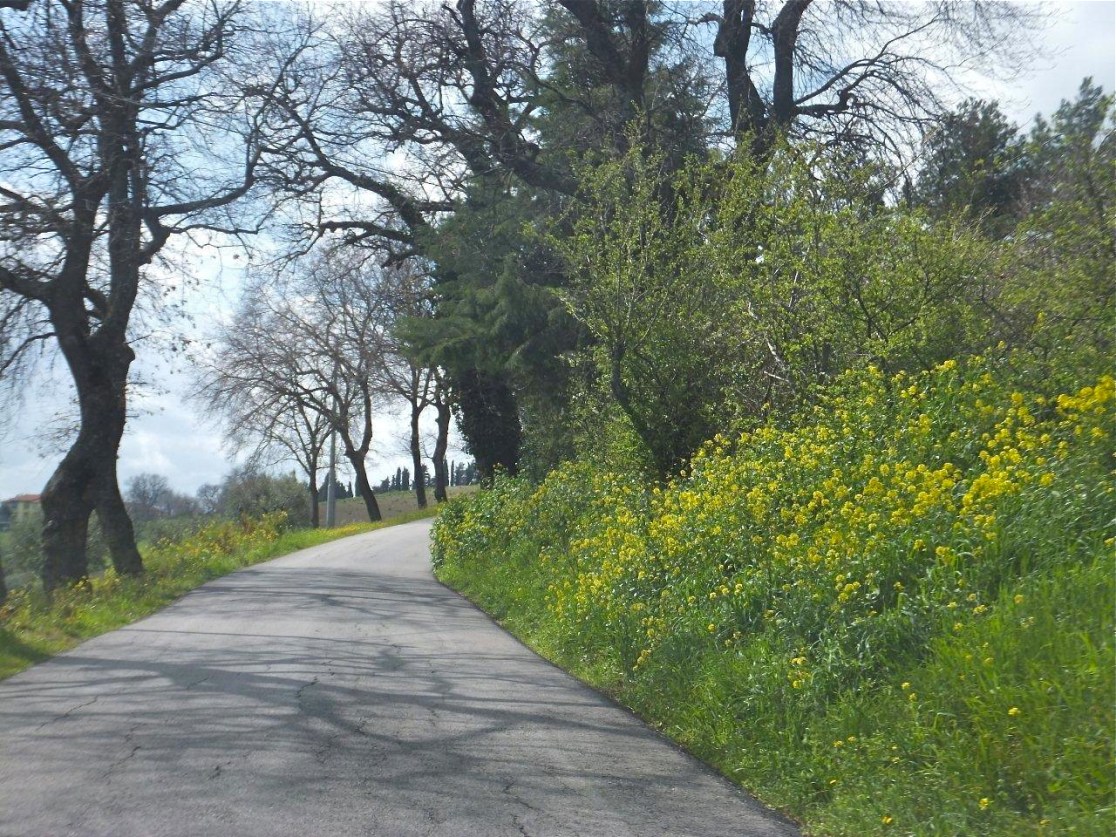 spring bend 2013 - photograph by MIL22