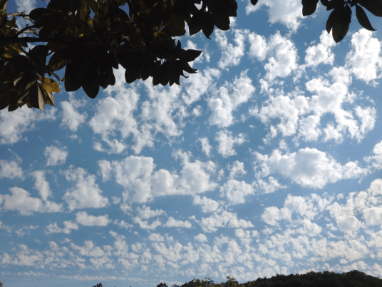 clouds, morselising 1