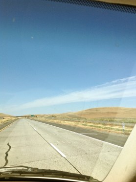 - postgutenberg [at] gmail.com