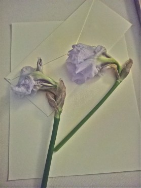 android dec 2011 to nov 2012 129