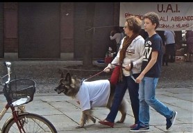 - photograph by MIL22