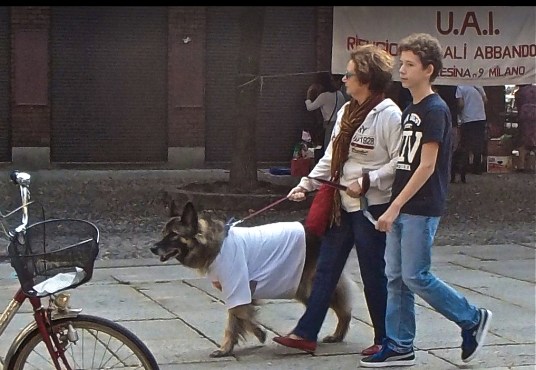 - photograph by MIL22