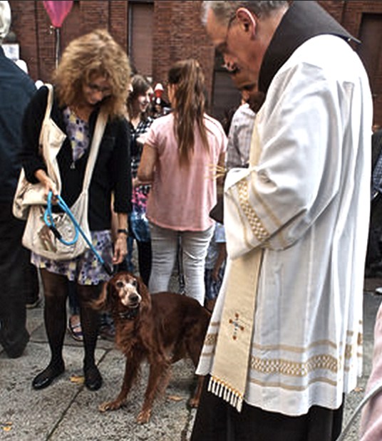 - photograph by MIL22