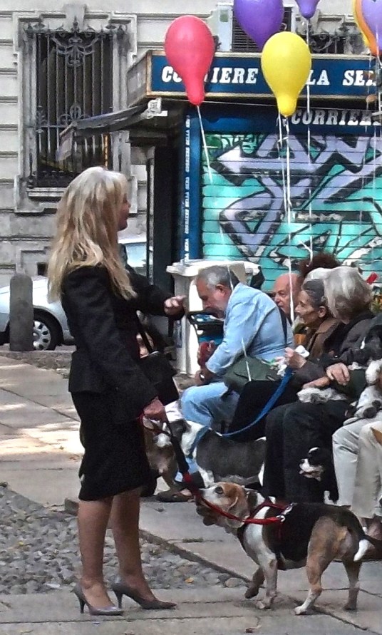 - photograph by MIL22