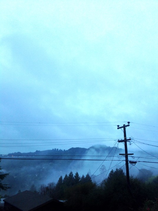 dusk, tall, 19 december 2014 postgutenberg@gmail.com