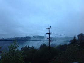 IMG_5942.jpg postgutenberg@gmail