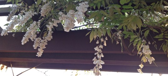 - photograph by postgutenberg[at]gmail.com