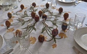 - Composition and photograph by MIL22