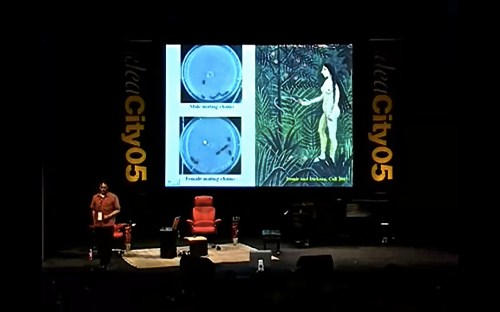 Screen Shot 2015-03-10 at 03.12.39