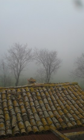 -- photograph: MIL22