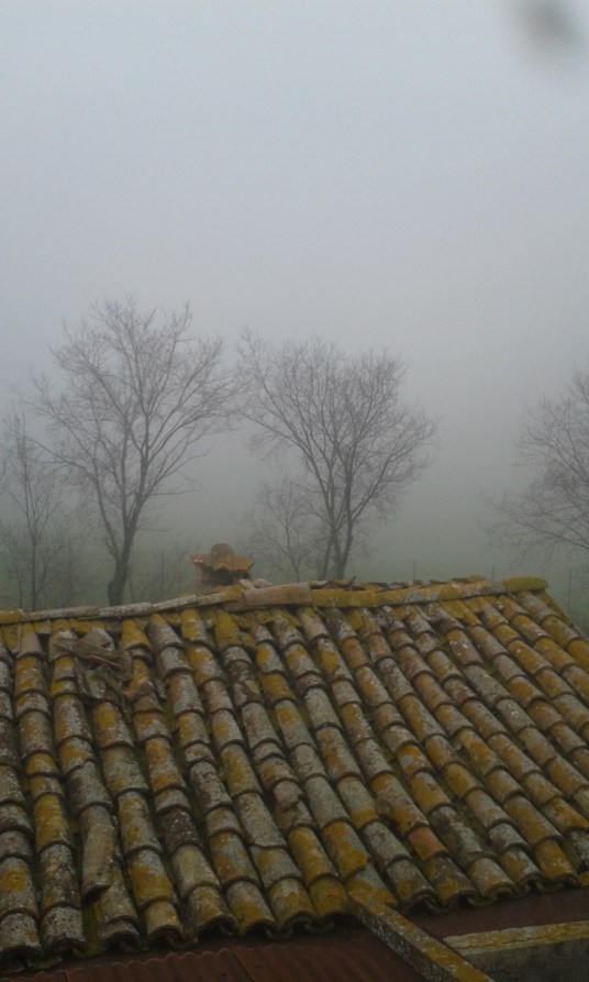 -- photograph: MIL22