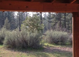 Screen Shot for march 2016 postgutenberg@gmail.com