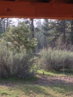 postgutenberg@gmail.com