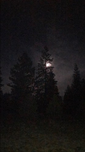 s1 post-gutenberg.com