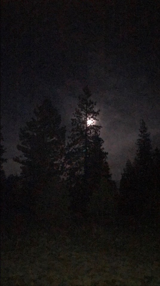 s1 post-gutenberg.com