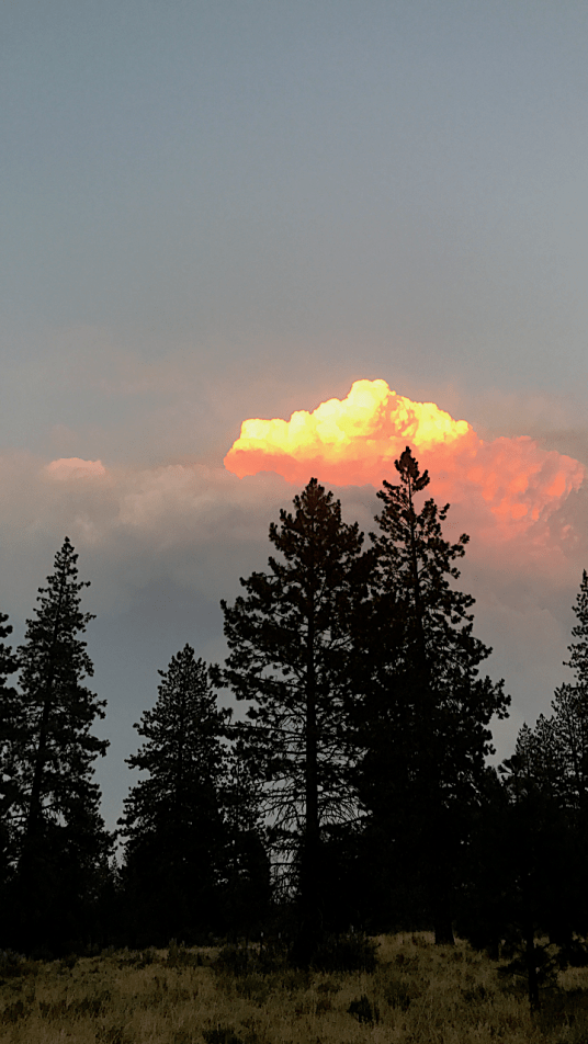 fire cloud vertical postgutenberg@gmail.com