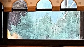 smoky window under blind, postgutenberg@gmail.com