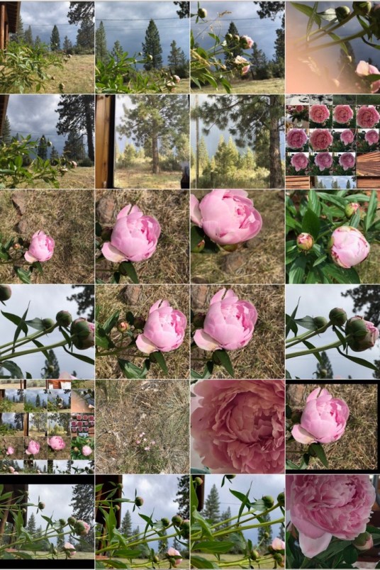 spring-summer panel.jpg postgutenberg@gmail.com.jpg