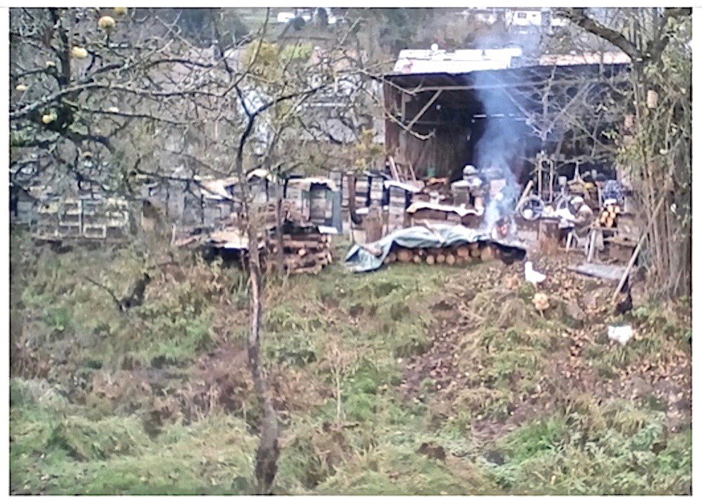 +Newspaper readers on a poultry farm near Kirchzell, ROY EALES postgutenberg@gmail.com