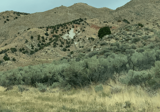 for 1. 1. 2020 - postgutenberg@gmail.com