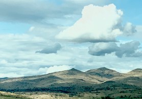 for 1.1.2020 postgutenberg@gmail.com