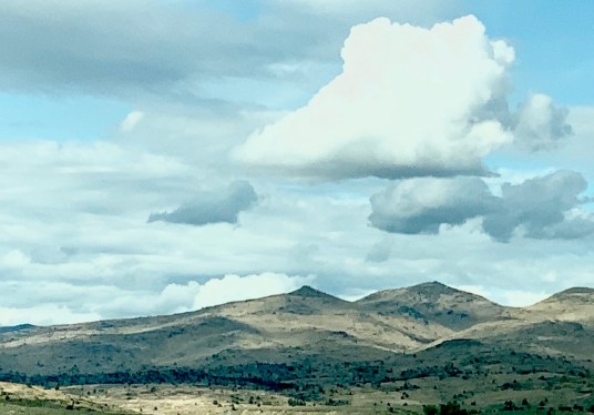 for 1.1.2020 postgutenberg@gmail.com