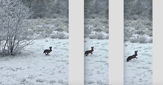 000 Easter 2020 (3) EIed postgutenberg@gmail.com PANEL 2 - 700H X 1339W